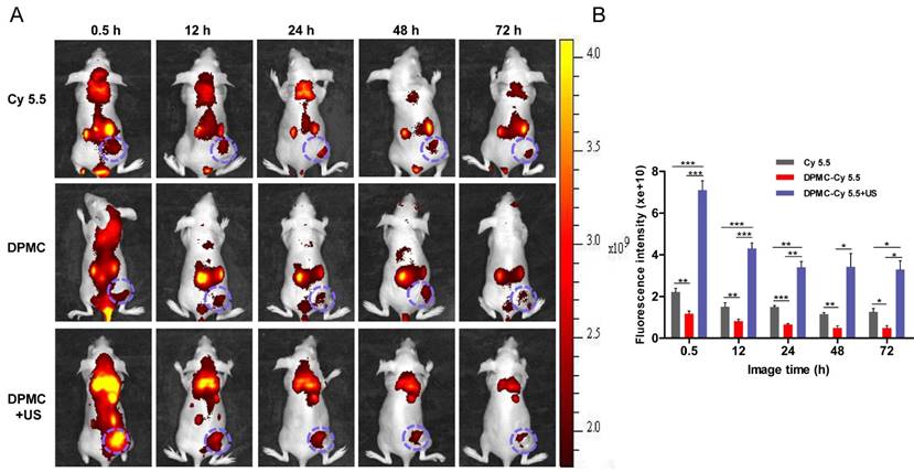 Theranostics Image