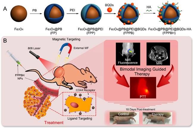 Theranostics Image