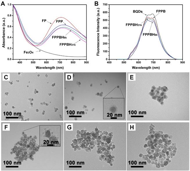 Theranostics Image