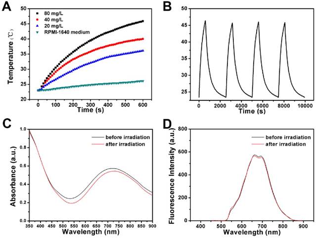 Theranostics Image