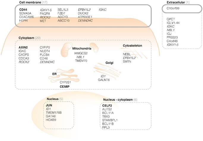 Theranostics Image