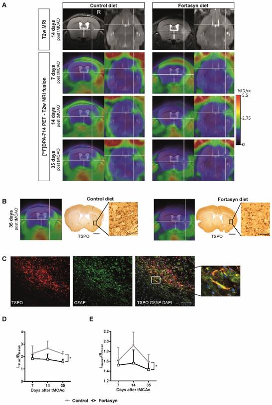 Theranostics Image