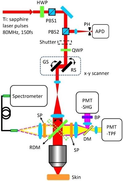 Theranostics Image