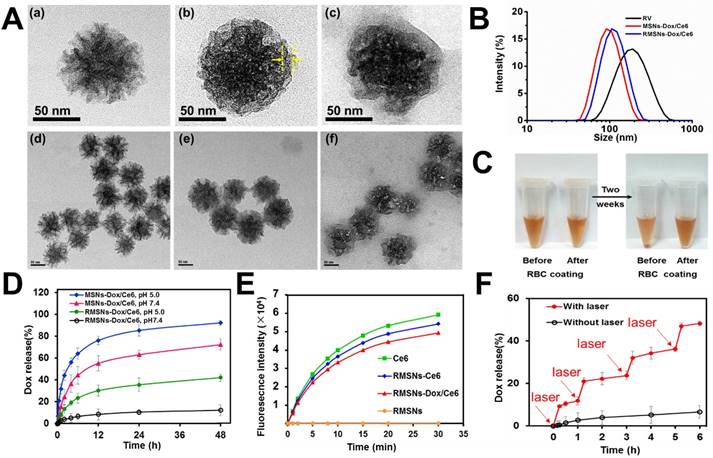 Theranostics Image