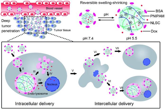 Theranostics Image