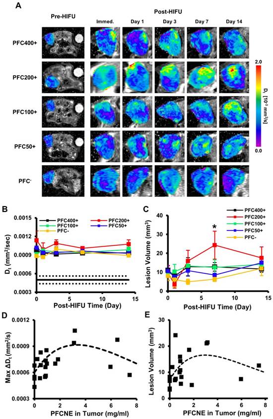 Theranostics Image