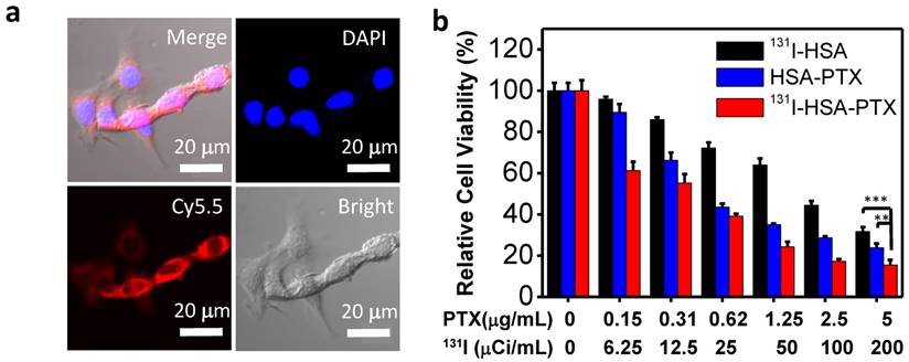 Theranostics Image