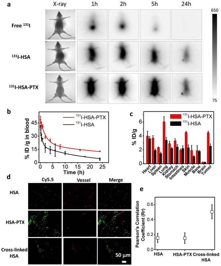 Theranostics Image