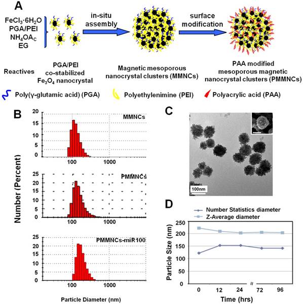 Theranostics Image