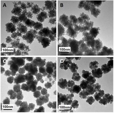 Theranostics Image