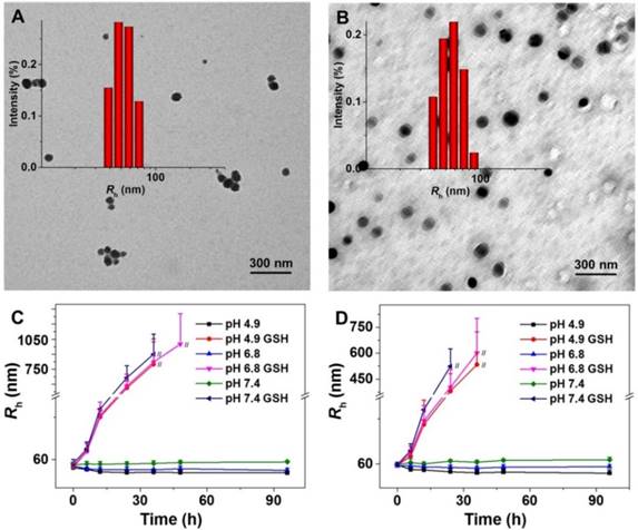 Theranostics Image