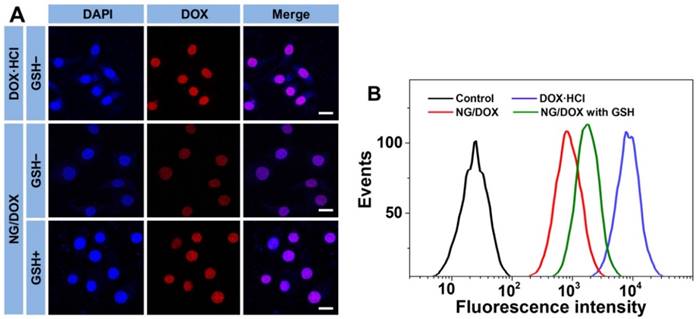 Theranostics Image