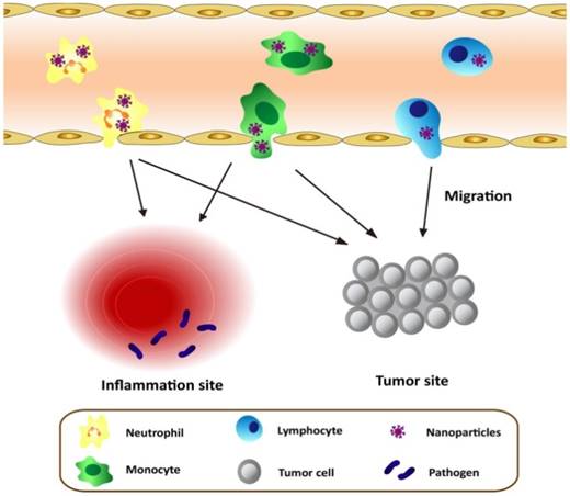 Theranostics Image