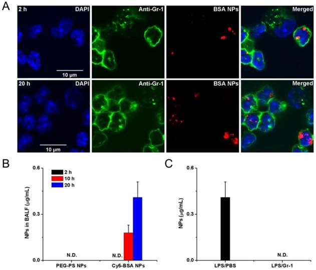 Theranostics Image