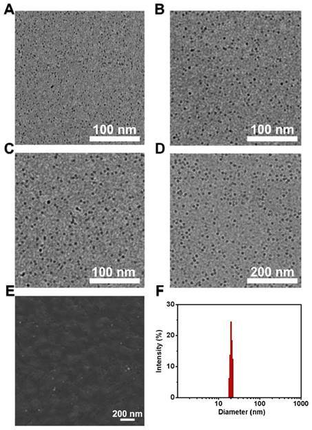 Theranostics Image