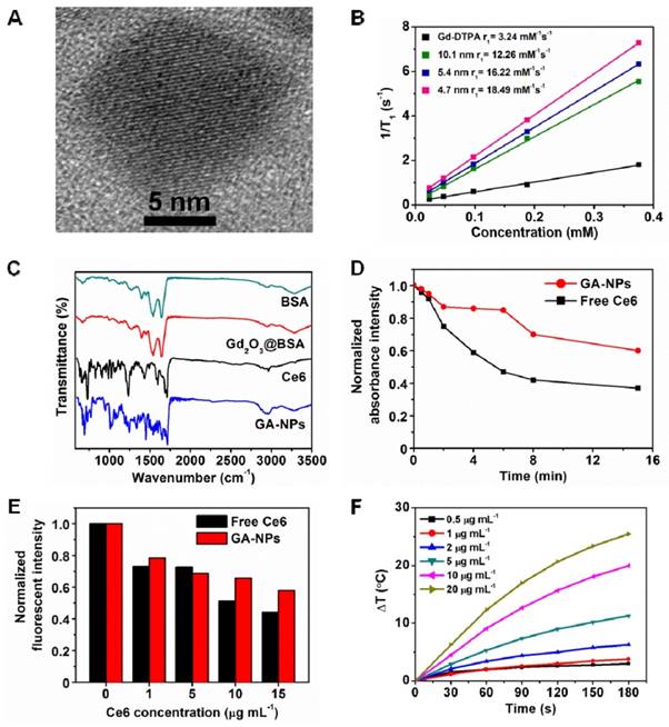 Theranostics Image