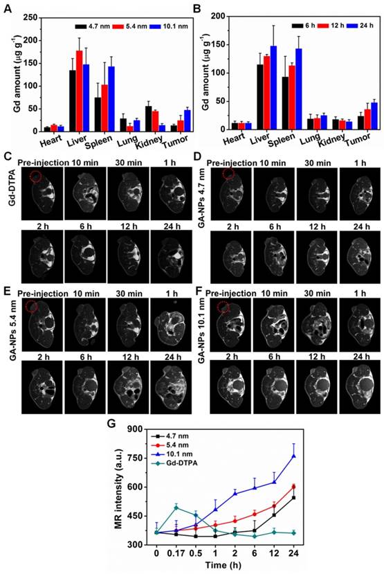 Theranostics Image