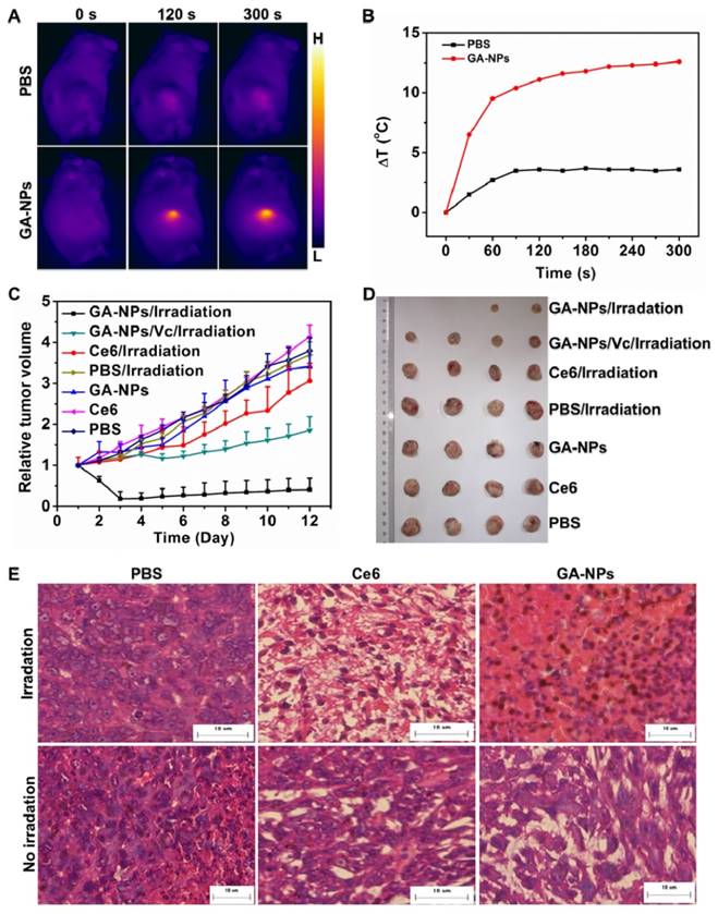 Theranostics Image