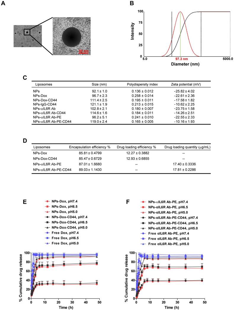 Theranostics Image