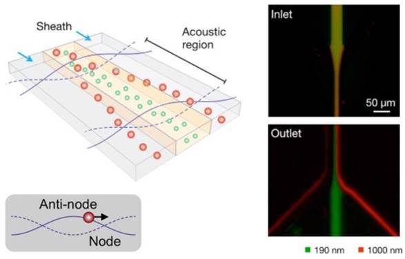 Theranostics Image