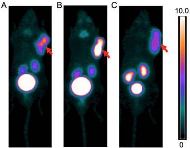 Theranostics Image