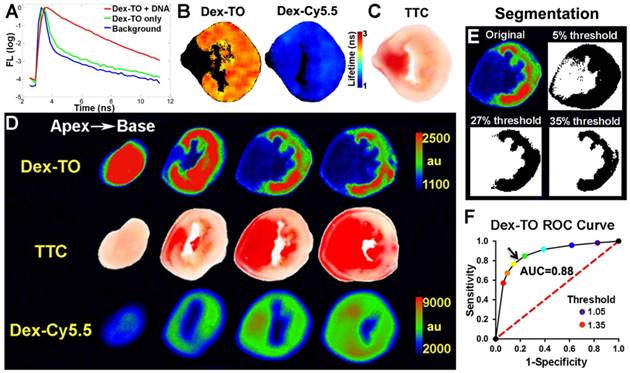 Theranostics Image