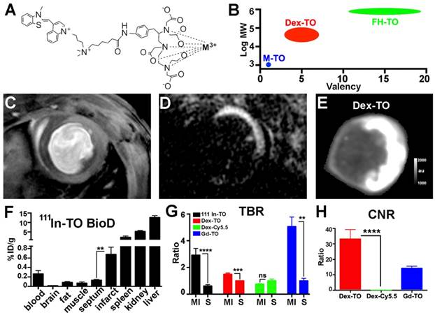 Theranostics Image