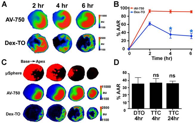 Theranostics Image