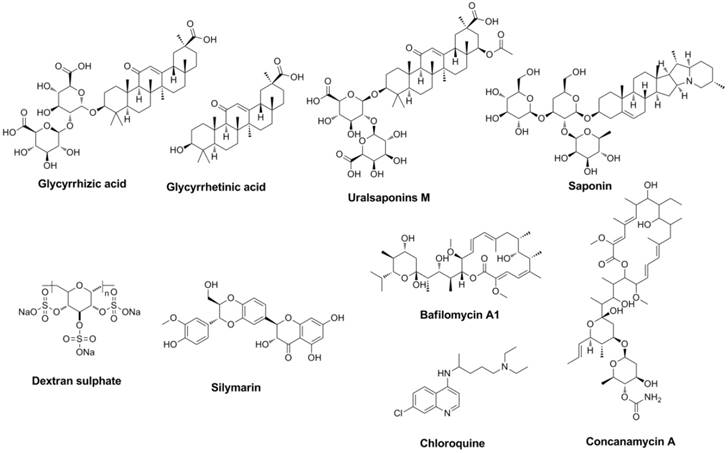 Theranostics Image