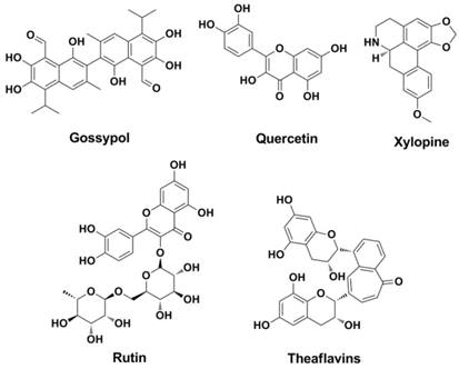 Theranostics Image