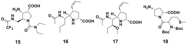 Theranostics Image