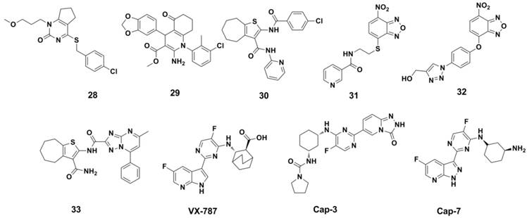 Theranostics Image