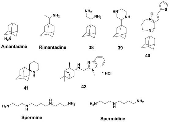 Theranostics Image