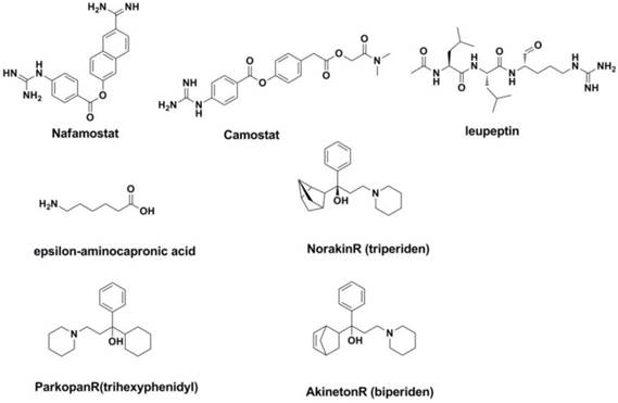 Theranostics Image