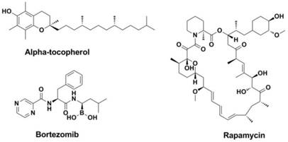 Theranostics Image