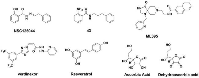 Theranostics Image