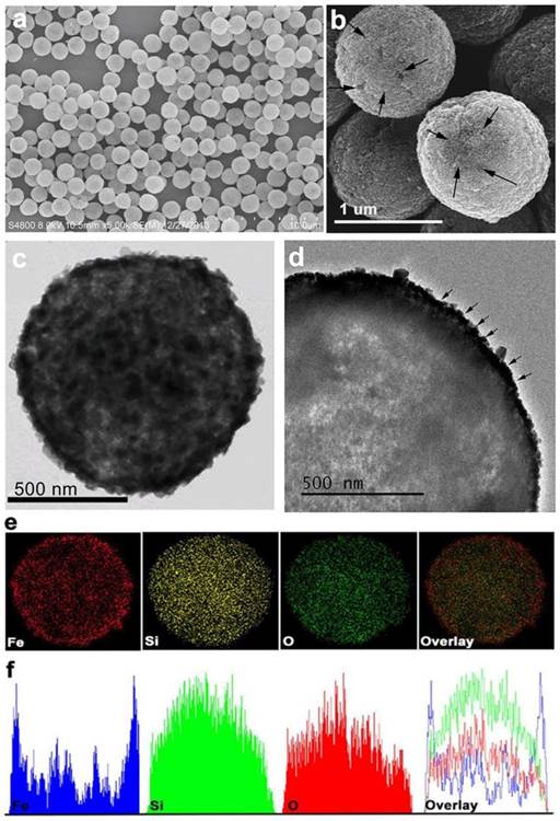 Theranostics Image