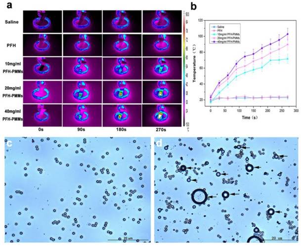 Theranostics Image