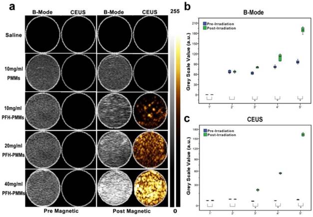 Theranostics Image