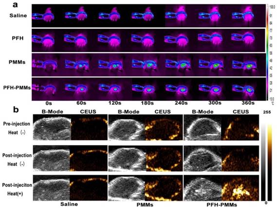 Theranostics Image