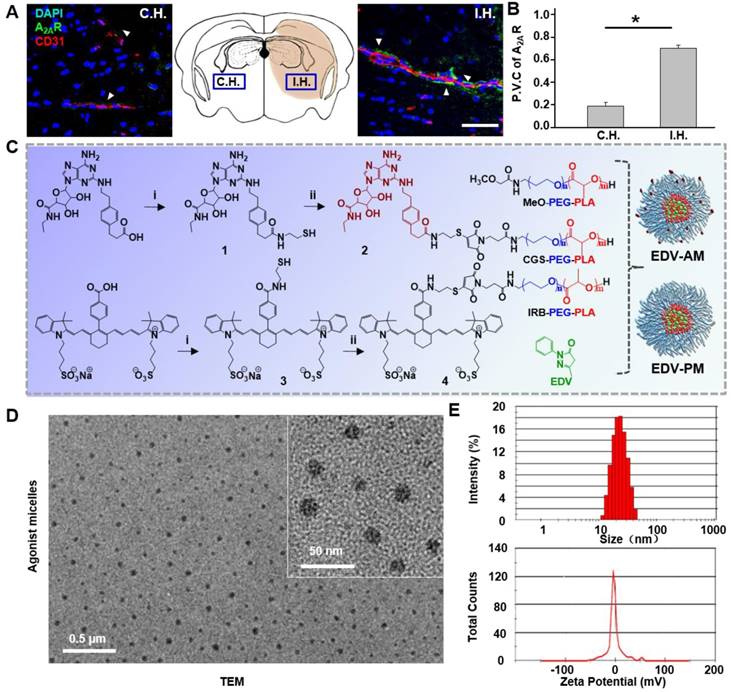 Theranostics Image