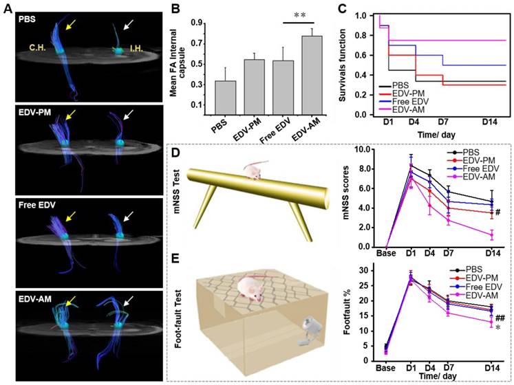 Theranostics Image