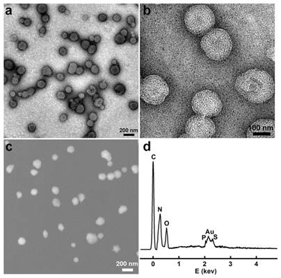 Theranostics Image