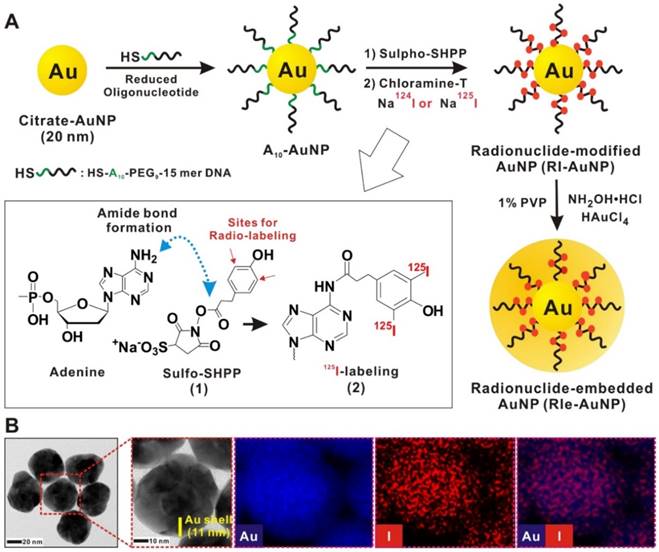 Theranostics Image