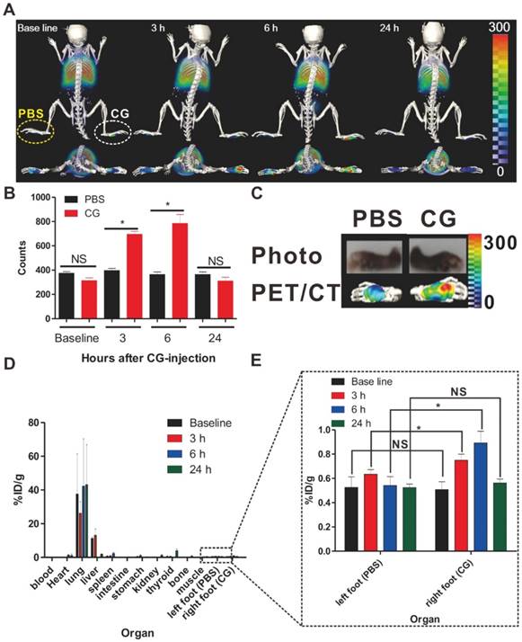 Theranostics Image