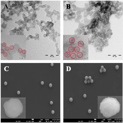 Theranostics Image