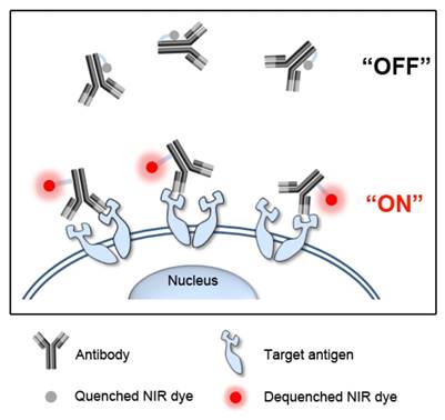 Theranostics Image