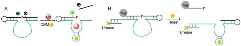 Theranostics Image