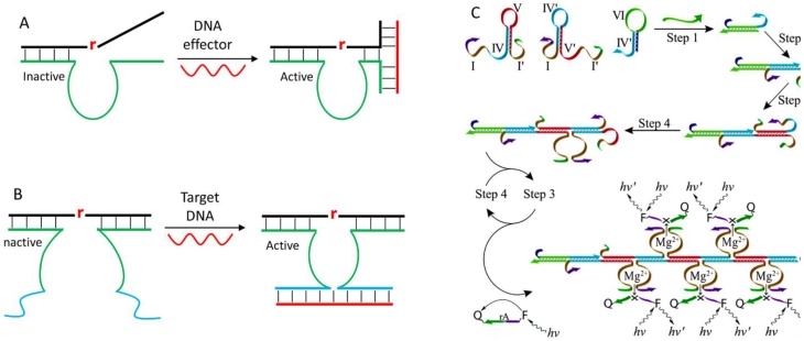 Theranostics Image