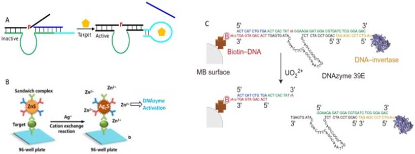 Theranostics Image